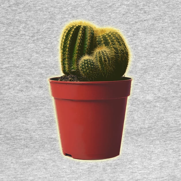 Pocket Potted Cactus by charlescheshire